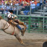 Rodeo