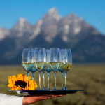 Wine-Auction-Ad-Shoot_4759